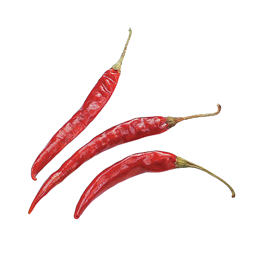 C04-de-arbol-chiles-peppers-main-removebg-preview C04-de-arbol-chiles-peppers-main-removebg-preview