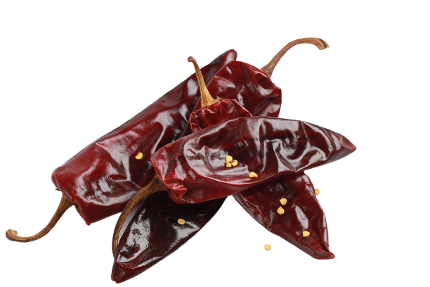 Chile-guajillo-removebg-preview Chile-guajillo-removebg-preview